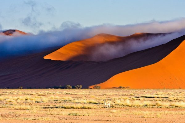 Пустыня Намиб. Африка