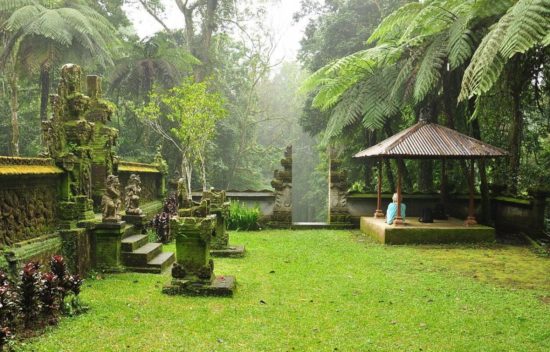 ботанический сад Бали