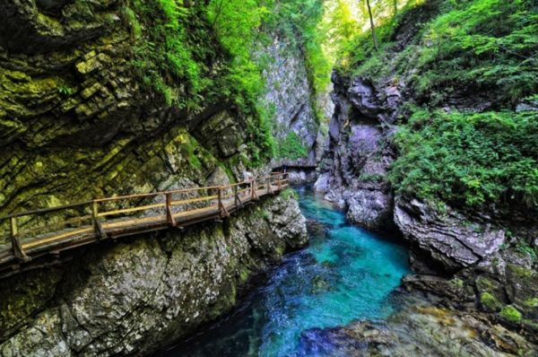 8 лучших мест в Словении, которые вы должны увидеть Ущелье Винтгар